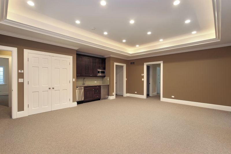 Basement Modification in Alpharetta, GA